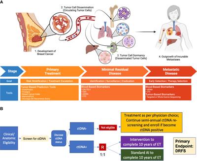 Frontiers | Therapeutic Targeting Of Minimal Residual Disease To ...